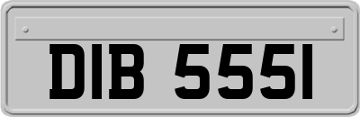DIB5551