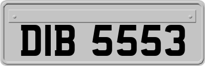 DIB5553