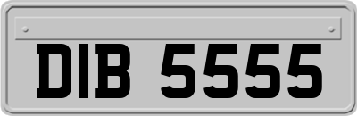 DIB5555