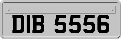 DIB5556