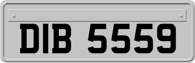 DIB5559