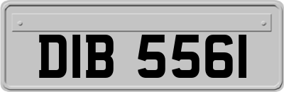 DIB5561