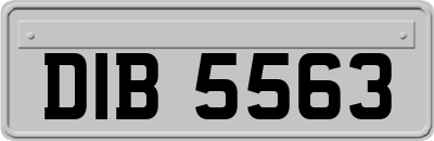 DIB5563