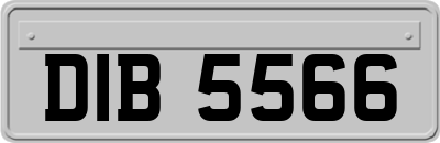 DIB5566