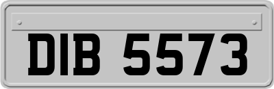 DIB5573