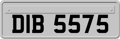 DIB5575