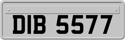 DIB5577