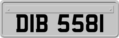 DIB5581