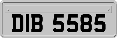 DIB5585