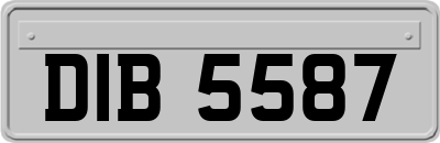 DIB5587