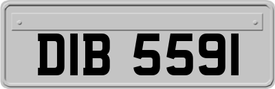 DIB5591