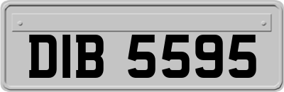 DIB5595