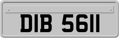 DIB5611