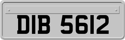 DIB5612
