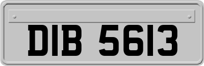DIB5613