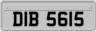 DIB5615