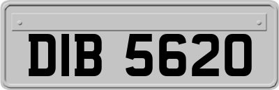 DIB5620
