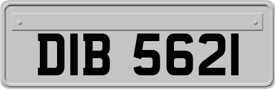DIB5621