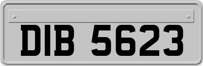 DIB5623
