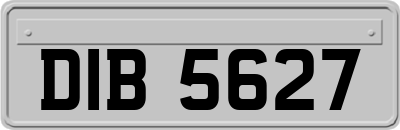 DIB5627
