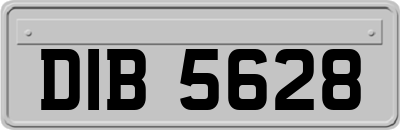 DIB5628