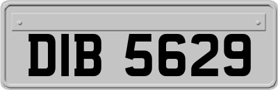 DIB5629