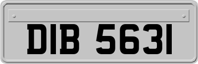 DIB5631