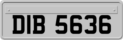 DIB5636