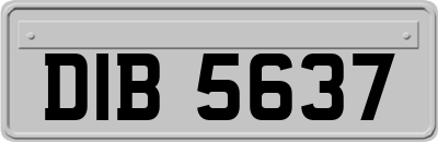 DIB5637