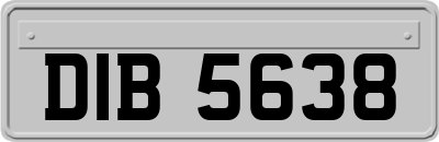 DIB5638