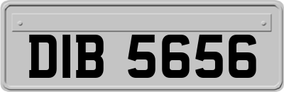 DIB5656