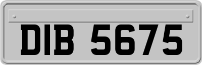 DIB5675