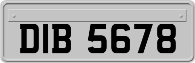 DIB5678