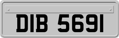 DIB5691