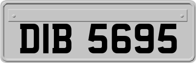 DIB5695