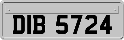 DIB5724
