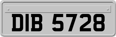 DIB5728