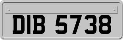 DIB5738