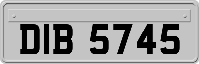 DIB5745