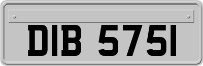 DIB5751