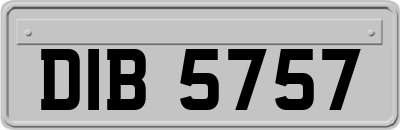DIB5757
