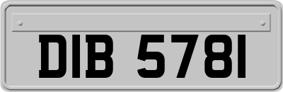 DIB5781