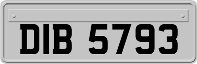 DIB5793