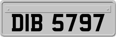 DIB5797