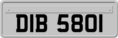 DIB5801