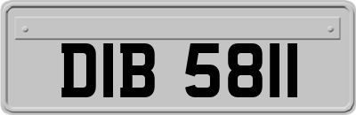 DIB5811
