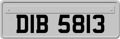 DIB5813
