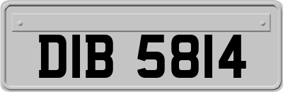 DIB5814