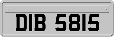 DIB5815