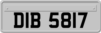 DIB5817